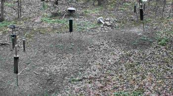 Weather camera view of Cincinnati Nature Center.