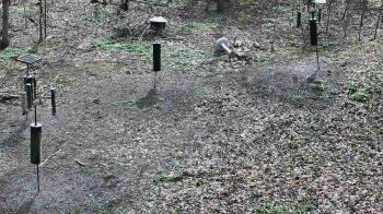 Weather camera view of Cincinnati Nature Center.