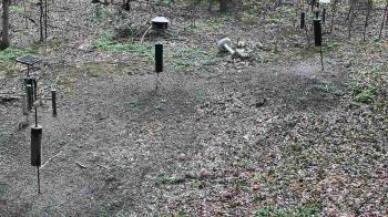 Weather camera view of Cincinnati Nature Center.