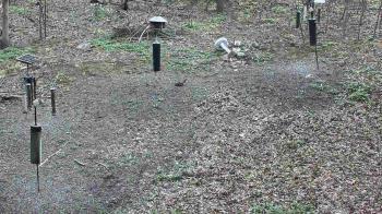 Weather camera view of Cincinnati Nature Center.