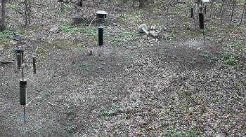 Weather camera view of Cincinnati Nature Center.