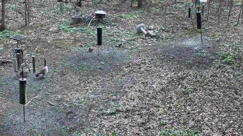 Weather camera view of Cincinnati Nature Center.