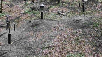 Weather camera view of Cincinnati Nature Center.