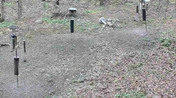 Weather camera view of Cincinnati Nature Center.