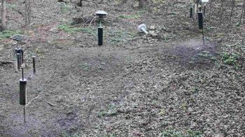 Weather camera view of Cincinnati Nature Center.