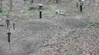 Weather camera view of Cincinnati Nature Center.