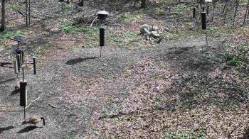 Weather camera view of Cincinnati Nature Center.