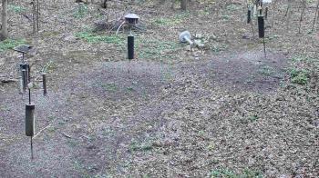 Weather camera view of Cincinnati Nature Center.