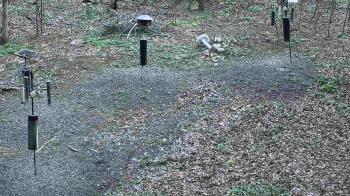 Weather camera view of Cincinnati Nature Center.