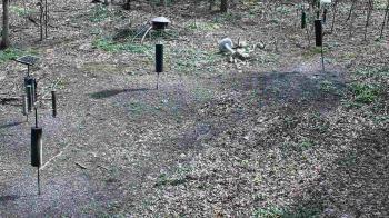 Weather camera view of Cincinnati Nature Center.