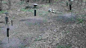 Weather camera view of Cincinnati Nature Center.