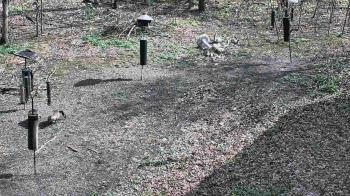 Weather camera view of Cincinnati Nature Center.