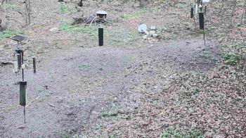 Weather camera view of Cincinnati Nature Center.