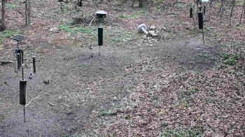 Weather camera view of Cincinnati Nature Center.