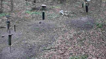 Weather camera view of Cincinnati Nature Center.