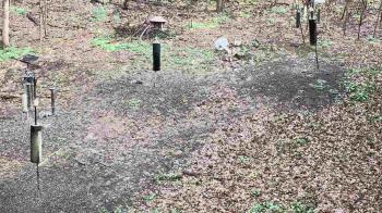 Weather camera view of Cincinnati Nature Center.