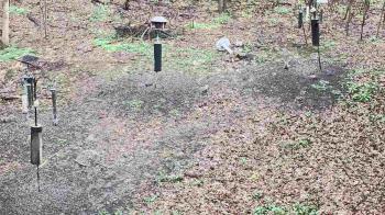 Weather camera view of Cincinnati Nature Center.