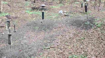 Weather camera view of Cincinnati Nature Center.