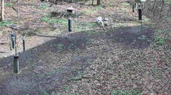 Weather camera view of Cincinnati Nature Center.