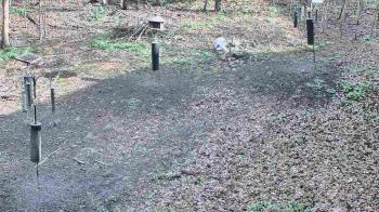 Weather camera view of Cincinnati Nature Center.