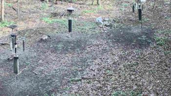 Weather camera view of Cincinnati Nature Center.