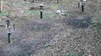 Weather camera view of Cincinnati Nature Center.