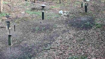 Weather camera view of Cincinnati Nature Center.