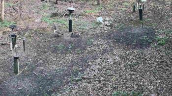 Weather camera view of Cincinnati Nature Center.