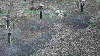 Weather camera view of Cincinnati Nature Center.
