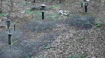 Weather camera view of Cincinnati Nature Center.