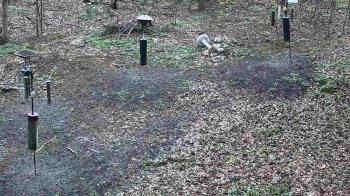 Weather camera view of Cincinnati Nature Center.
