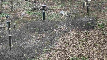 Weather camera view of Cincinnati Nature Center.