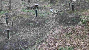 Weather camera view of Cincinnati Nature Center.