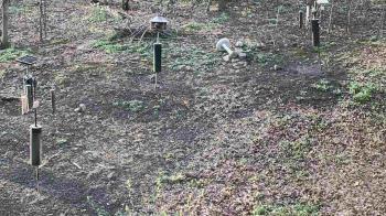 Weather camera view of Cincinnati Nature Center.