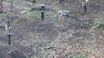 Weather camera view of Cincinnati Nature Center.