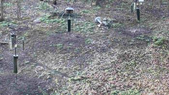 Weather camera view of Cincinnati Nature Center.