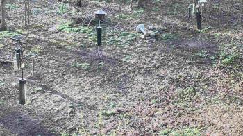 Weather camera view of Cincinnati Nature Center.