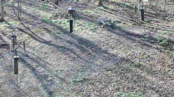 Weather camera view of Cincinnati Nature Center.