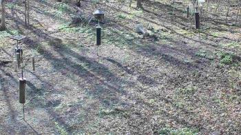 Weather camera view of Cincinnati Nature Center.