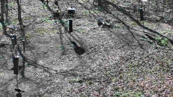 Weather camera view of Cincinnati Nature Center.