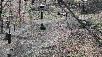 Weather camera view of Cincinnati Nature Center.