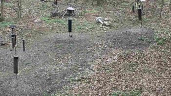 Weather camera view of Cincinnati Nature Center.