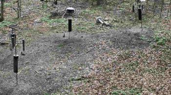 Weather camera view of Cincinnati Nature Center.