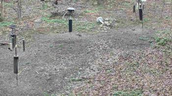 Weather camera view of Cincinnati Nature Center.