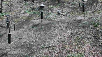 Weather camera view of Cincinnati Nature Center.