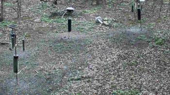 Weather camera view of Cincinnati Nature Center.