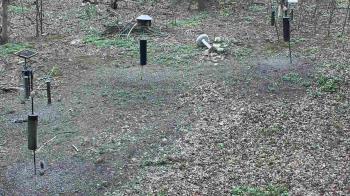 Weather camera view of Cincinnati Nature Center.