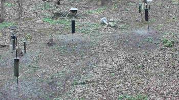 Weather camera view of Cincinnati Nature Center.