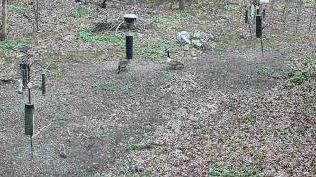 Weather camera view of Cincinnati Nature Center.