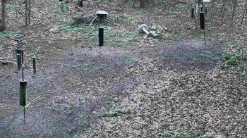 Weather camera view of Cincinnati Nature Center.